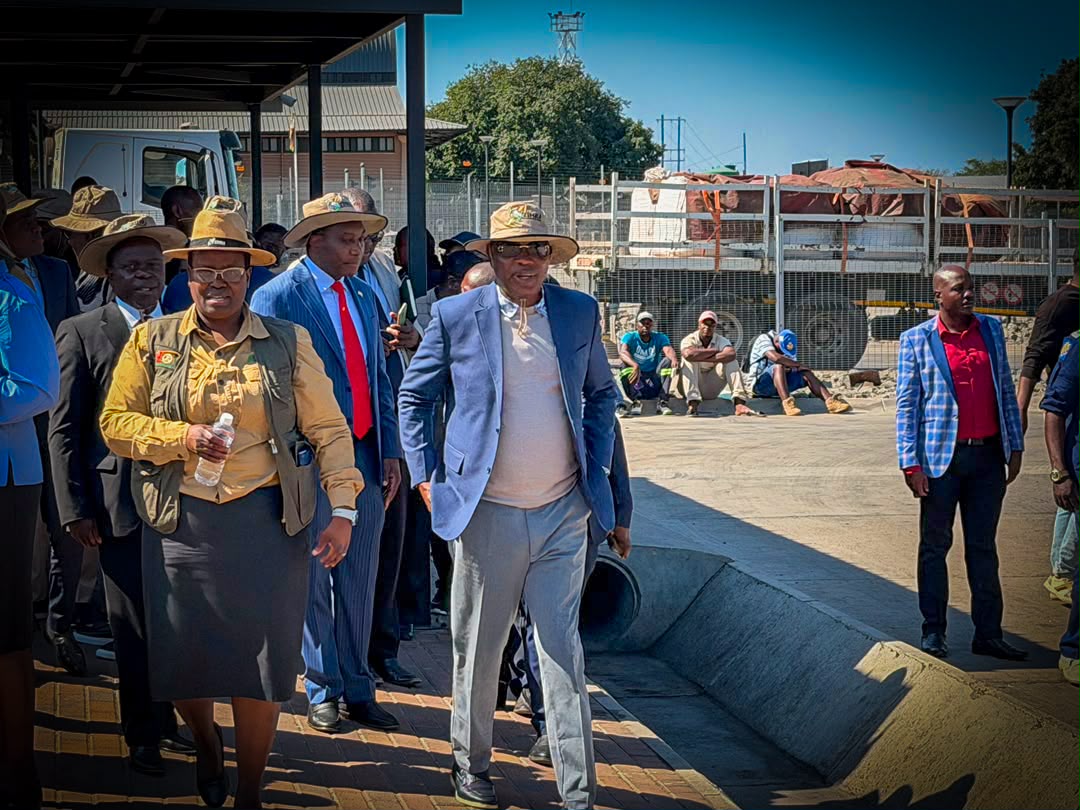 Beitbridge Benchmarking Mission: NCS, Cameroon, Benin Step Into Regional Border Modernization