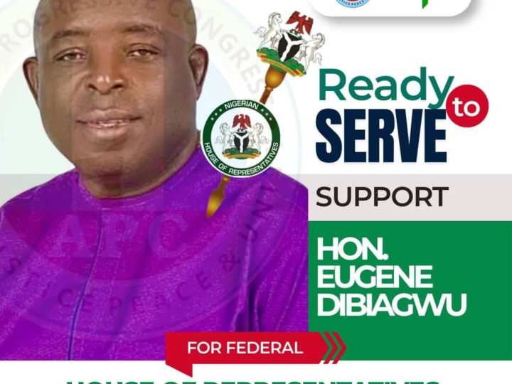 2027 General Election: Ohaji -Egbema Special Citizens Drum Support For Hon. Dibiagwu’s Re-election 